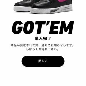 NIKE Air force1ピースマイナスワン パラノイズ3.0 LOW26.5&travisフラグメントlow