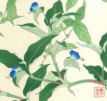 河原崎奨堂 (Kawarazaki Shodo) (1899~1973) 木版画 F062 昼顔と露草 (Bindweed)　初版昭和初期～京都の一流の摺師の技をご堪能下さい。_画像10