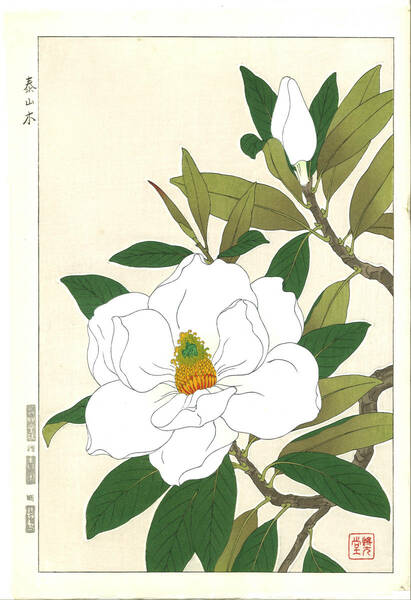 河原崎奨堂 (Kawarazaki Shodo) (1899~1973)木版画F079泰山木 (Magnolia grandiflora)初版昭和初期～京都の一流の摺師の技をご堪能下さい。
