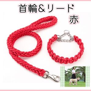 新品未使用 赤 レッド 首輪 リード 首輪&リード ハーフ チョーク