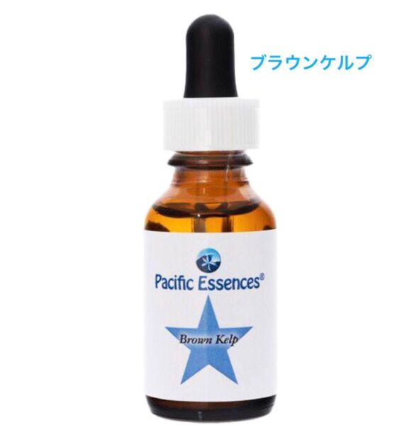 ブラウンケルプ(25ml) パシフィックフラワーエッセンス シーエッセンス