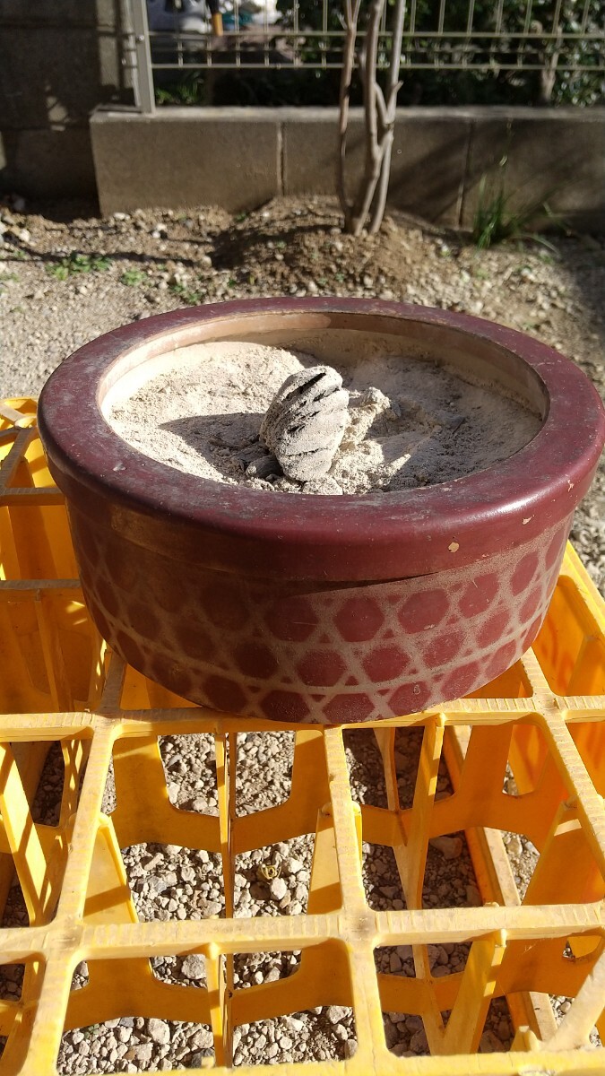Yahoo!オークション -「豆炭 こたつ」(アンティーク Yahoo!オークション -「豆炭 こたつ」(アンティーク
