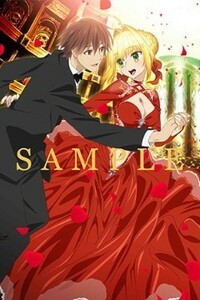 セイバー＆ハクノ 描き下ろしB2タペストリー 「Blu-ray/DVD Fate/EXTRA Last Encore」 アニメイト全巻購入特典