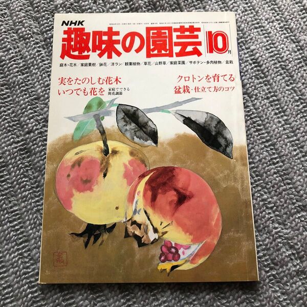 NHK 趣味の園芸 昭和54年 10月 ボルギー クロトン 盆栽 挿し木 花木