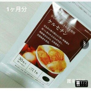 ケルセチン 1ヶ月分 たまねぎ 玉ねぎの皮 タマネギの皮