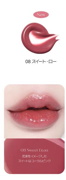 スイートロー 08 BBIA ローティント 新品 フルサイズ 通常サイズ