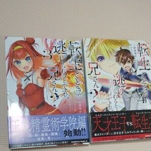 転生ごときで逃げられるとでも、兄さん? 3巻 4巻