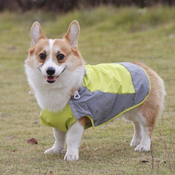 犬 レインコート 大型犬 中型犬 着せやすい 犬用レインコート ドッグウェア