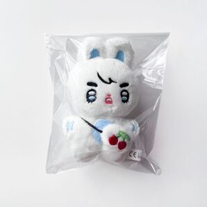 SEVENTEEN セブチ スンチョル① エスクプス ぬいぐるみ キーホルダー