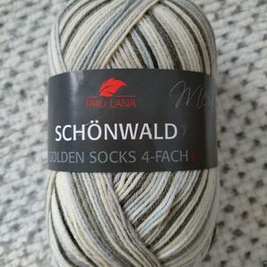 PRO LANA/プロラナGolden Socks Schonwald 669★ソックヤーン 毛糸