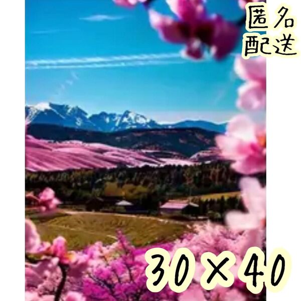 ダイヤモンド アートキット 【桜の間から覗く春の山】 ラウンドビーズ 57-6