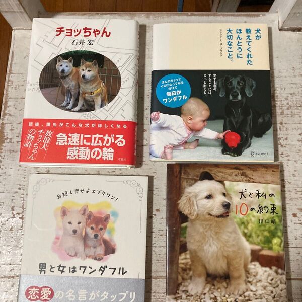 男と女はワンダフル 犬と私の10の約束 チョッちゃん 犬が教えてくれたほんとうに大切なこと。4冊 まとめて