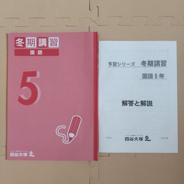 四谷大塚小5 冬期講習 国語