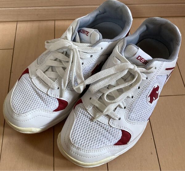 デサント DESCENTE 体育館シューズ 24センチ
