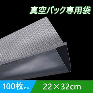 真空パック袋 22×32cm 100枚セット 真空パック機専用 袋タイプ 切れ目付き 真空 密封 シールバッグ 大きい Lサイズ