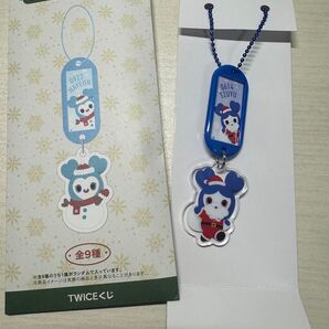 TWICEくじ2024 D賞ネームタグキーホルダーTZUYU