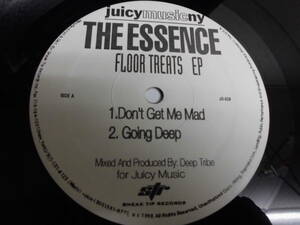 THE ESSENCE/FLOOR TREATS EP/3539