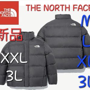 THE NORTH FACEノースフェイス 新品 中綿 ダウンジャケット 2XL