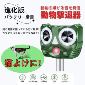 猫よけ