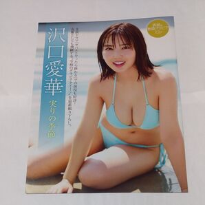沢口愛華 水着グラビア切り抜き7P