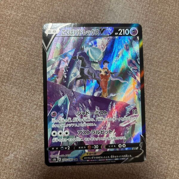 こくばバドレックスV CSR