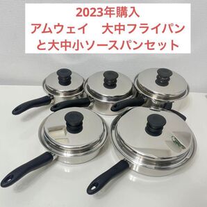 2023年購入 アムウェイ 大中フライパン と大中小ソースパンセット
