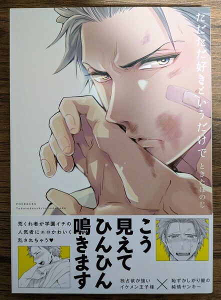 【4冊350円】 ただただ好きというだけで / ときたほのじ *完結