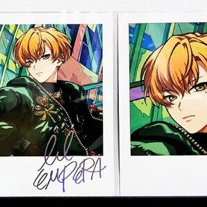 パラライ トレフォト 東夏 箔押し