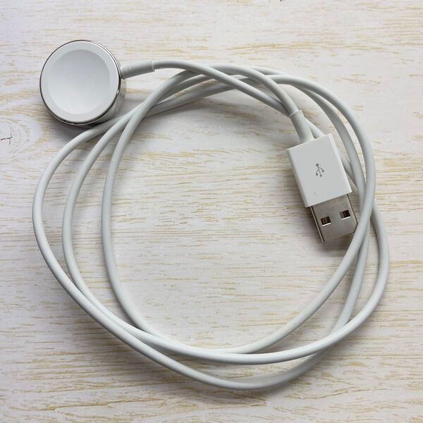 no.317 Apple Watch 純正充電ケーブル タイプA エディション