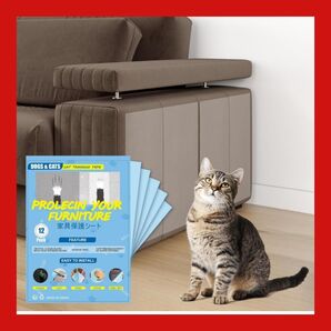 猫 壁紙保護シート 両面粘着タイプ 爪研ぎ防止シート 爪とぎ ひっかき 防止 半透明 ドアなどの傷 汚れ防止 ねこ しつけ用品 4