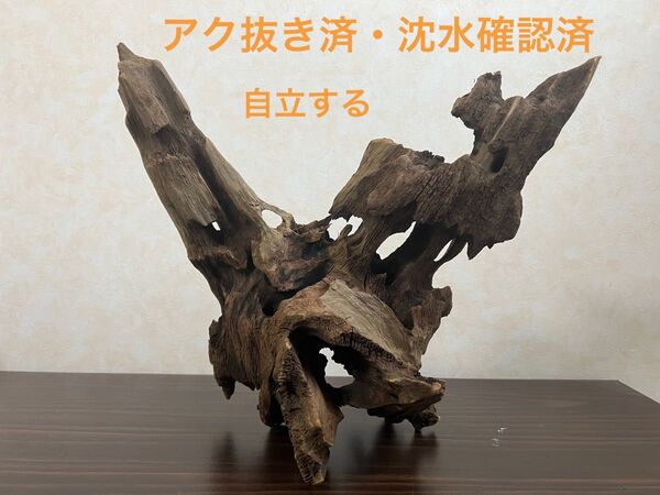 XM-378 流木 マシンガンウッド アクアリウム ブランチウッド