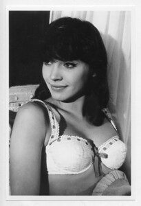 ［フォト4x6］ アンナ・カリーナ 31A 映画女優写真(小) Anna Karina