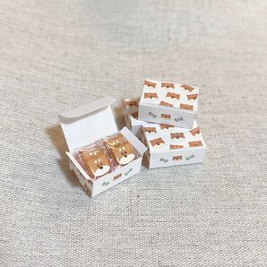 ミニチュア 柴犬クッキー