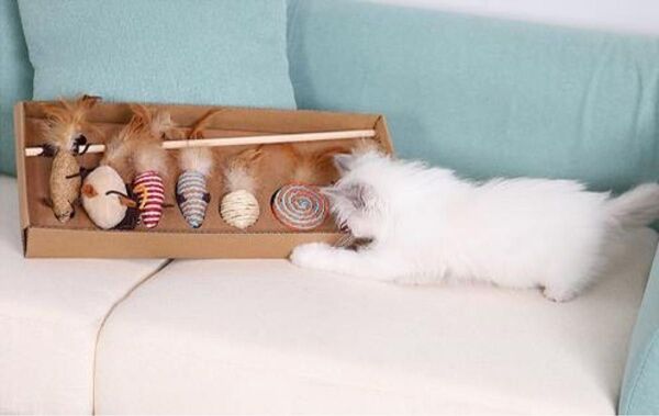 猫 おもちゃ 猫じゃらし 7点セット ギフト 羽付き ネズミ 音