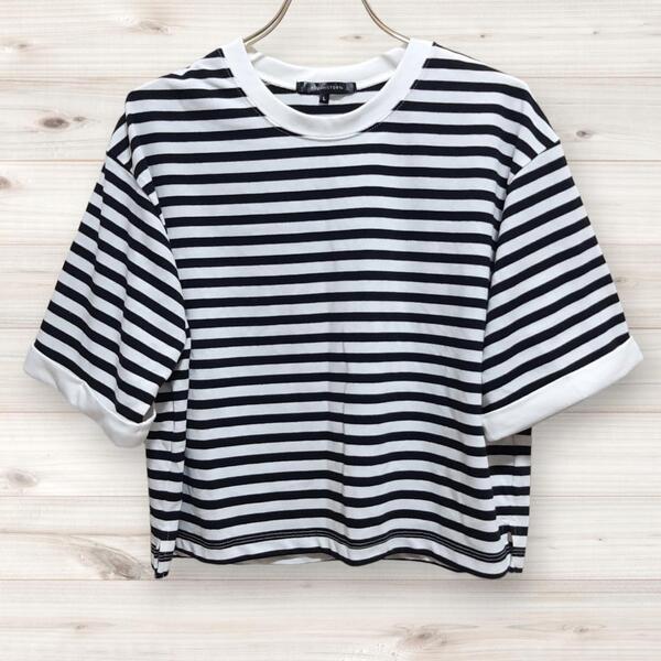 C1007 アクアヒストリー AQUA HISTORY Tシャツ 半袖 (L) ボーダー 総柄