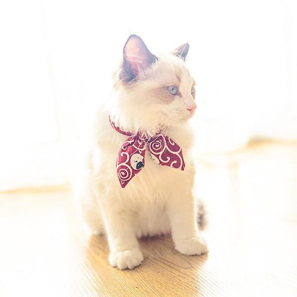 唐草模様 ネコ 首輪 和柄 レッド 猫 猫用 猫用首輪 猫首輪 子猫 ~ 成猫 シュシュ リボン 安全 超軽量 ねこ首輪