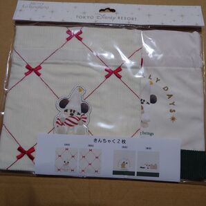 2024 ディズニー クリスマス リルリンリン きんちゃく2枚セット