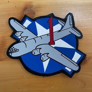 スコードロンパッチ レザー バズ マッコイ ww2 a-2 b-10 n-1 ジャケット ミリタリー フライト ハンドペイント
