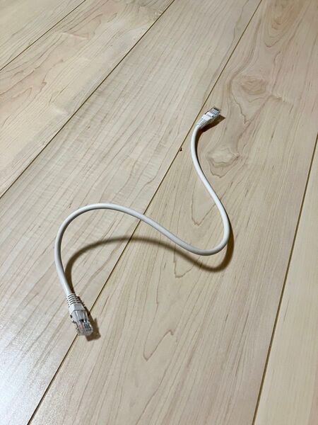 LANケーブル 白 45センチ ホワイト