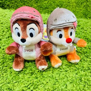 チップとデール ぬいぐるみバッジ 干支 ヘビ ディズニーリゾート