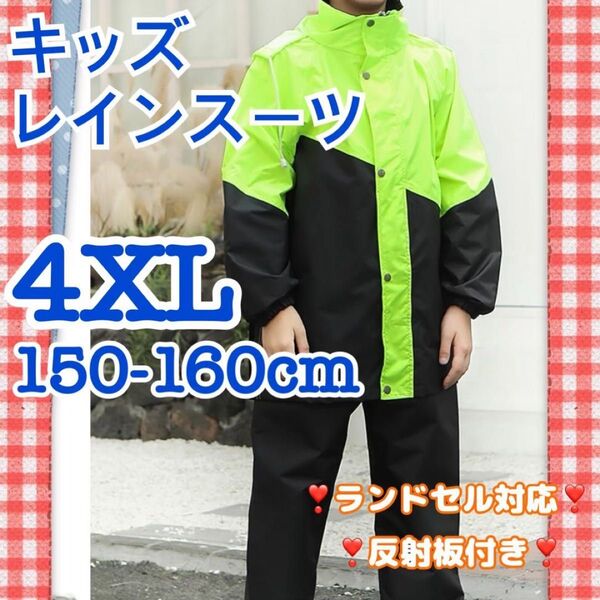 レインコート キッズ 緑 セパレート 160cm 上下セット 通学 梅雨 レインウェア 雨具 アウトドア 男女兼用