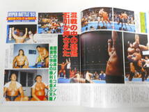 週刊ゴング増刊号　新日本プロレス1993年3月23日東京体育館速報号　ヘル・レイザース地獄葬殺法大研究、長州＆藤波VS天龍＆石川、猪木登場_画像8