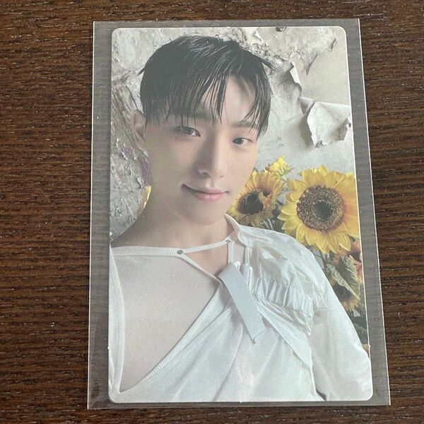 SEVENTEEN セブチ ディノ WEVERSE グローバル メンバーシップ KIT メンシプ トレカ