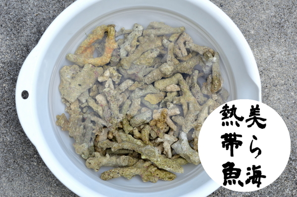 「ライブグラベル」約1リットル分 送料無料 沖縄石垣島の海の天然バクテリア付きろ材【美ら海熱帯魚】
