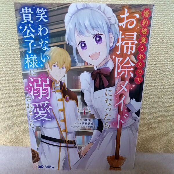 婚約破棄されたのでお掃除メイドになったら笑わない貴公子様に溺愛されました 1