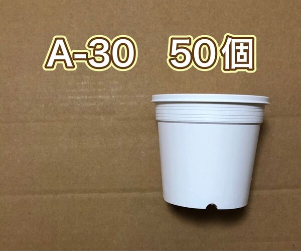 《A-30》白 50個 プラ鉢 丸型 スリット鉢 多肉植物