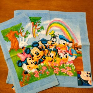 新品タグ付 ディズニー ハンドタオル 2枚セット