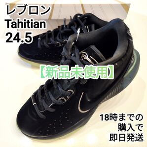 NIKE レブロン21 Tahitian 24.5 【未開封新品】 24時間内発送