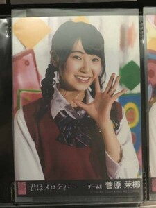 AKB48 SKE48 君はメロディー 劇場盤 生写真 菅原茉椰