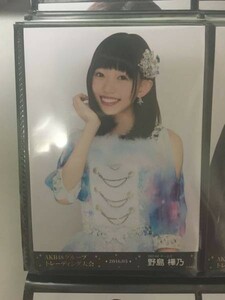 AKB48 SKE48 トレーディング大会 2016.05 生写真 野島樺乃